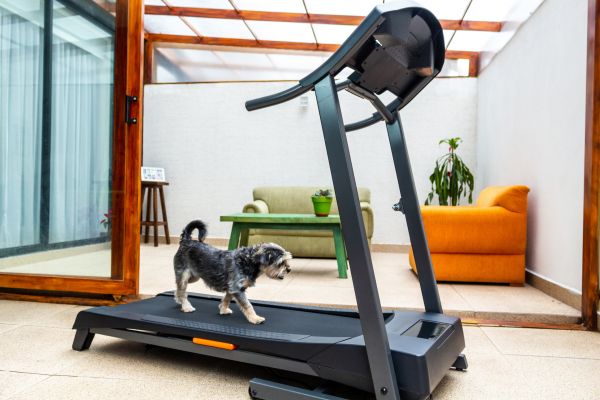 Treadmill Installation in Hayden