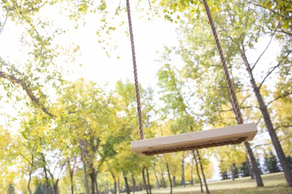 Tree Swing Installation in Hayden