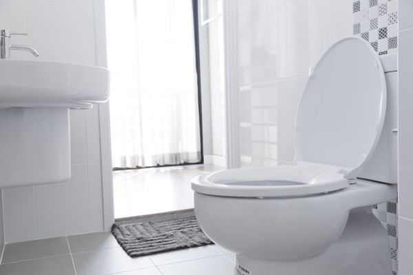 Toilet Seat Installation in Hayden