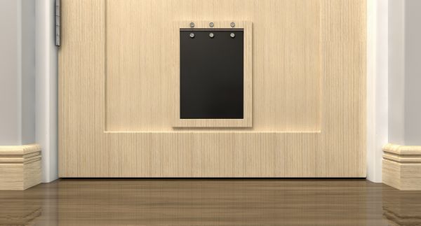 Dog Door Repair in Hayden