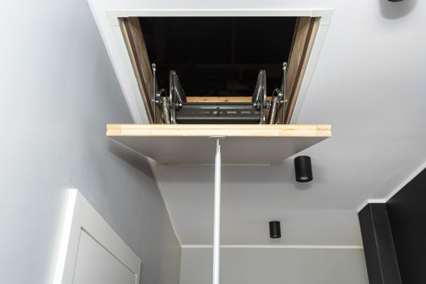 Attic Door Repair in Hayden