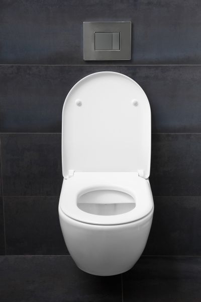 Toilet Lid Installation in Hayden