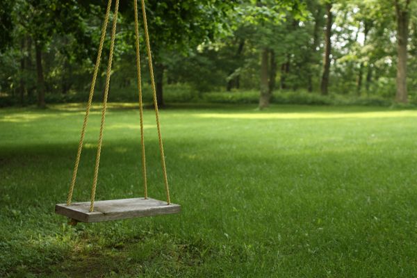 Rope Swing Installation in Hayden