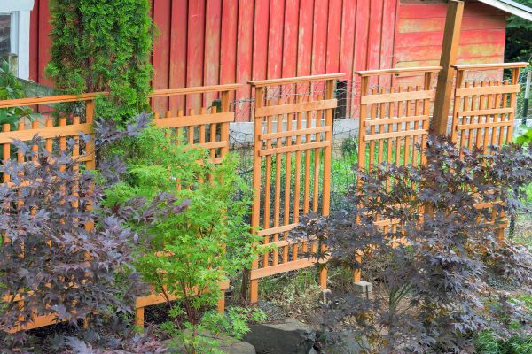Wood Trellis Mounting in Hayden