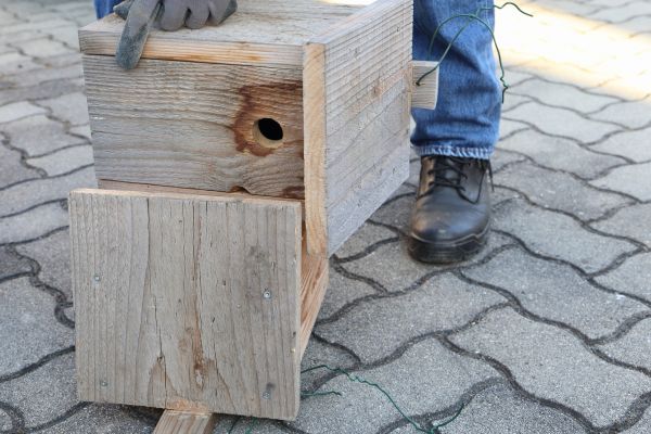 Birdhouse Mounting in Hayden