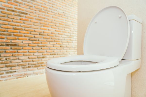Toilet Seat Repair in Hayden