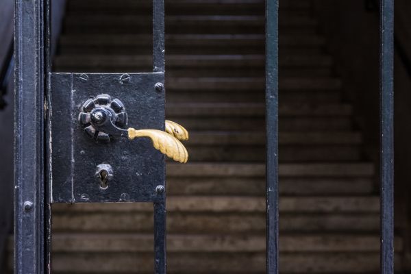 Gate Handle Replacement in Hayden